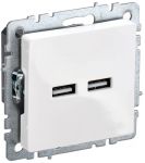 Розетка BRITE USB A+A 3.1А РЮ10-1-БрБ бел. IEK BR-U21-D31-K01 Розетка BRITE USB A+A 3.1А РЮ10-1-БрБ бел. IEK BR-U21-D31-K01